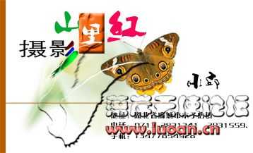 山里红.jpg