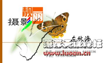 靓丽摄影1.jpg
